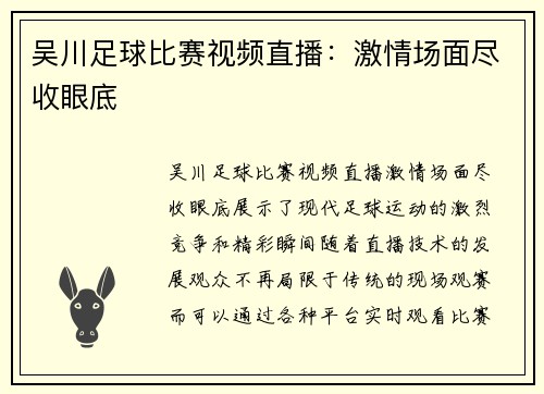 吴川足球比赛视频直播：激情场面尽收眼底
